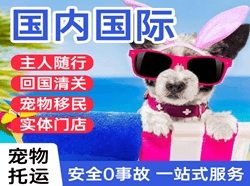 阿拉善航空空运国际宠物托运 【国